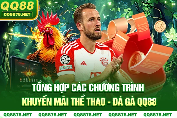 Khuyến mãi thể thao - đá gà QQ88 dành cho mọi hội viên