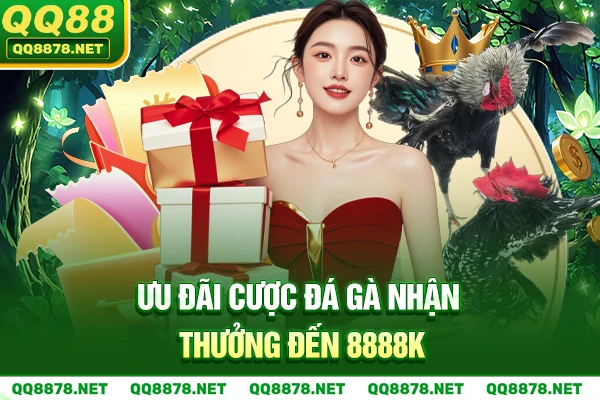 Ưu đãi Cược đá gà nhận thưởng đến 8888k.