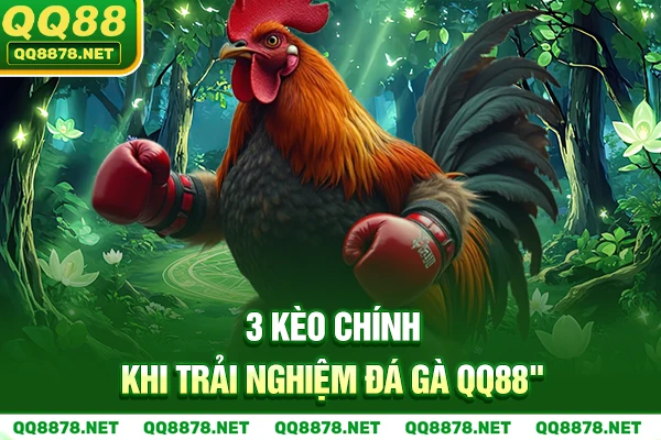 3 kèo chính khi trải nghiệm Đá Gà QQ88