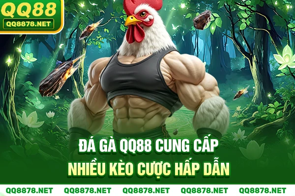 Đá Gà QQ88 cung cấp nhiều kèo cược hấp dẫn